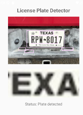 Screenshot showing deskewed plate crop